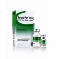 SINCRO-PART PMSG 6000 UI.