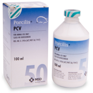 PORCILIS PCV 100 DS
