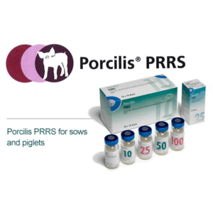 PORCILIS PRRS  (10X50DS) + DILUYENTE