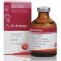 ANTRAVAX 50 ML