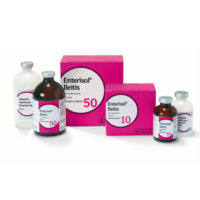 ENTERISOL ILEITIS S.ORAL 100 ML.
