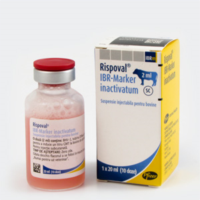 RISPOVAL IBR-MARKER INACT.10 DS.
