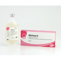 GLETVAX-6 20 DS.