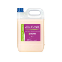 A.H623 CHAMPU VITALIZANTE 5L