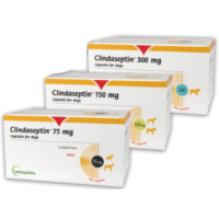 CLINDASEPTIN 150 MG 100 CAPSULAS