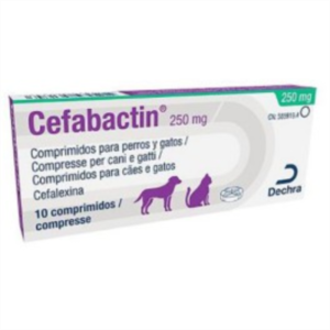 CEFABACTIN 250 MG 10 COMP.