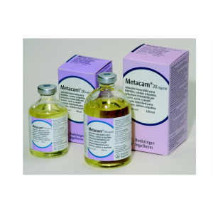 METACAM 20 MG/ML INY. 100 ML.