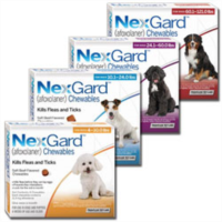 NEXGARD 3 COMP.  2-4 KG.