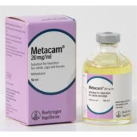 METACAM SUSP.ORAL 100 ML.